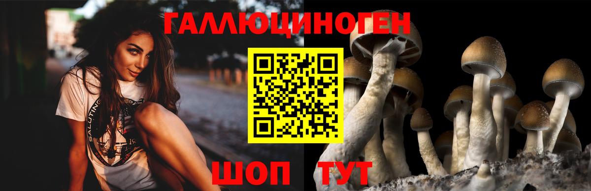 Галлюциногенные грибы ЛСД Сызрань